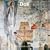 Dali 2009 2009 (Wall Calendar)