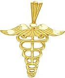 14K Gold Diamond Cut Medium Caduceus Charm