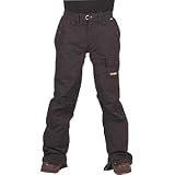 Foursquare Fuji Snowboard Pants (Women s)