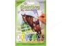 Mini Paint By Number Kit 5"x7"-mare & Foul