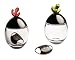 Alessi - Joanna Lyle Ovolini JL05/1 Y Nutmeg Jar Yellow Knob