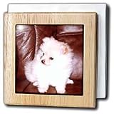 Dogs Pomeranian - White Pomeranian - Tile Napkin Holders