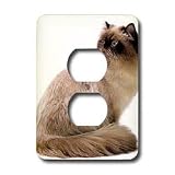Cats - Himalayan - Light Switch Covers - 2 plug outlet cover