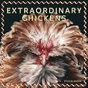 Extraordinary Chickens 2010 Wall Calendar