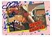 Cyndi Lauper autographed trading card (ip)