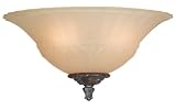 Semi Flush Mounted Light Fixtures