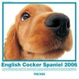 The Dog English Cocker Spaniel (Artlist Collection)