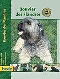 PraxisRatgeber Bouvier des Flandres.