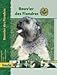 PraxisRatgeber Bouvier des Flandres.