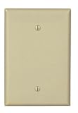 1G JUMBO IVORY BLANK PLATE