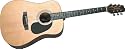 Takamine S35 Jasmine Acoustic Guitar (Natural)