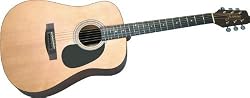 Takamine S35 Jasmine Acoustic Guitar (Natural)
