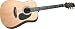 Acoustic Guitars