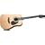 Takamine S35 Jasmine Acoustic Guitar (Natural)