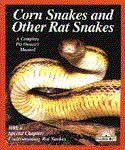 Barrons Books Corn Snakes and Rat Snakes Book