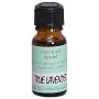 LANDEL ���x���_�[ �g�D���[ 12ml