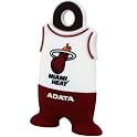 4GB Flash Drive
