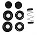 Automotive : Raybestos WK1951 Wheel Cylinder Repair Kit