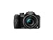 Panasonic Lumix FZ100 14.1MP Digital Camera - Black (3.0 inch TFT LCD Display, LEICA DC Lens with 24x Optical Zoom and Full HD Movie)
