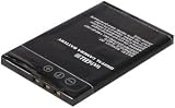 PANASONIC CGAS003 Battery