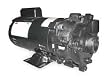Dayton 2ZWP5 Pump, Centrifugal, 1 HP, 1 Ph, 115/230V