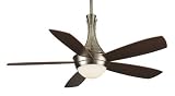 Review Fanimation Fan Company FP5420PW / Fanimation Ceiling Fans FP5420PW Celano Fan - Pewter Remote Modern Indoor Fan 54