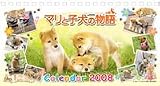 卓上・マリと子犬の物語 2008年カレンダー