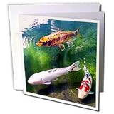 Fishing - Chinese Koi Carp Fish - Greeting Cards-12 Greeting Cards with envelopes