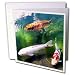 Fishing - Chinese Koi Carp Fish - Greeting Cards-12 Greeting Cards with envelopes