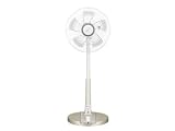 SANYO ������ ��ӥ��� (30cm�������ѥ󥴡����) EF-30TR3(N)