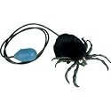 Leaping Spider