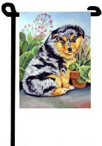 Australian Shepherd - In Mom