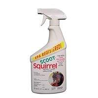 Squirrel Repellent Quart