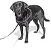 SENSE-ation No-Pull Dog Harness - Medium/Large (Wide) Black