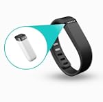 Fitbit Flex (NEGRO)