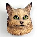 Maine Coon Brn Tabby Magnet
