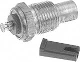 Borg Warner WT203 Temperature Sensor
