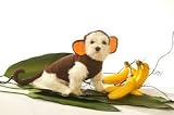 Dog Costume - Monkey Pet Halloween Costume - Medium