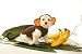 Dog Costume - Monkey Pet Halloween Costume - Small