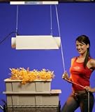 Light Hanger Vertical Light Mover
