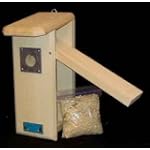 Downey Woodpecker House