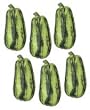 Dollhouse Miniature Artisan Whole Striped Squash