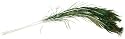 Peacock Eye Feathers - 3PK/Natural