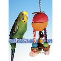 Caribbean Hide-a-Treat - CARIBBEAN HIDE-A-TREAT 