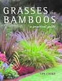Grasses and Bamboos: A Practical Guide