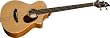 Breedlove Passport Plus B350/CB4, 32 Bass