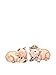 Appletree Design Barn Yard Pig Salt and Pepper Set, 2-Inch, 2-1/8-Inch