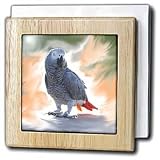 African Grey Parrot - 6 Inch Tile Napkin Holder