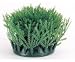 Kitchen & Housewares : HAGEN ROOTS WILLOW MOSS MAT 2 PACK