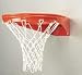 Ultimate Lifetime Rim - Bison Goal Rear Mount Basketball Rim